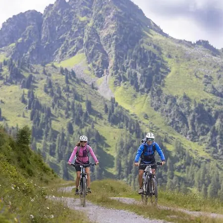 Διαμέρισμα Alpenchalet Waldruhe Scheffach