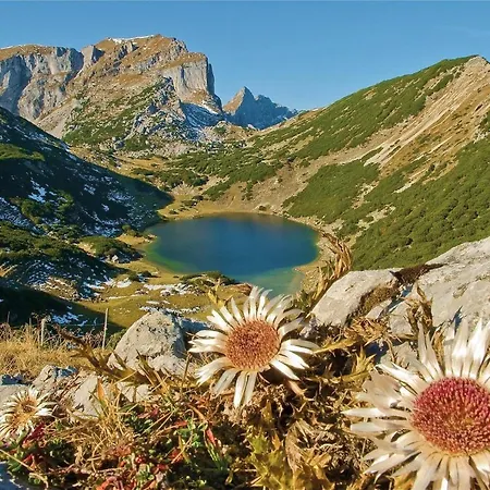 Alpenchalet Waldruhe Apartment Scheffach