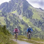 Apartment Alpenchalet Waldruhe Scheffach